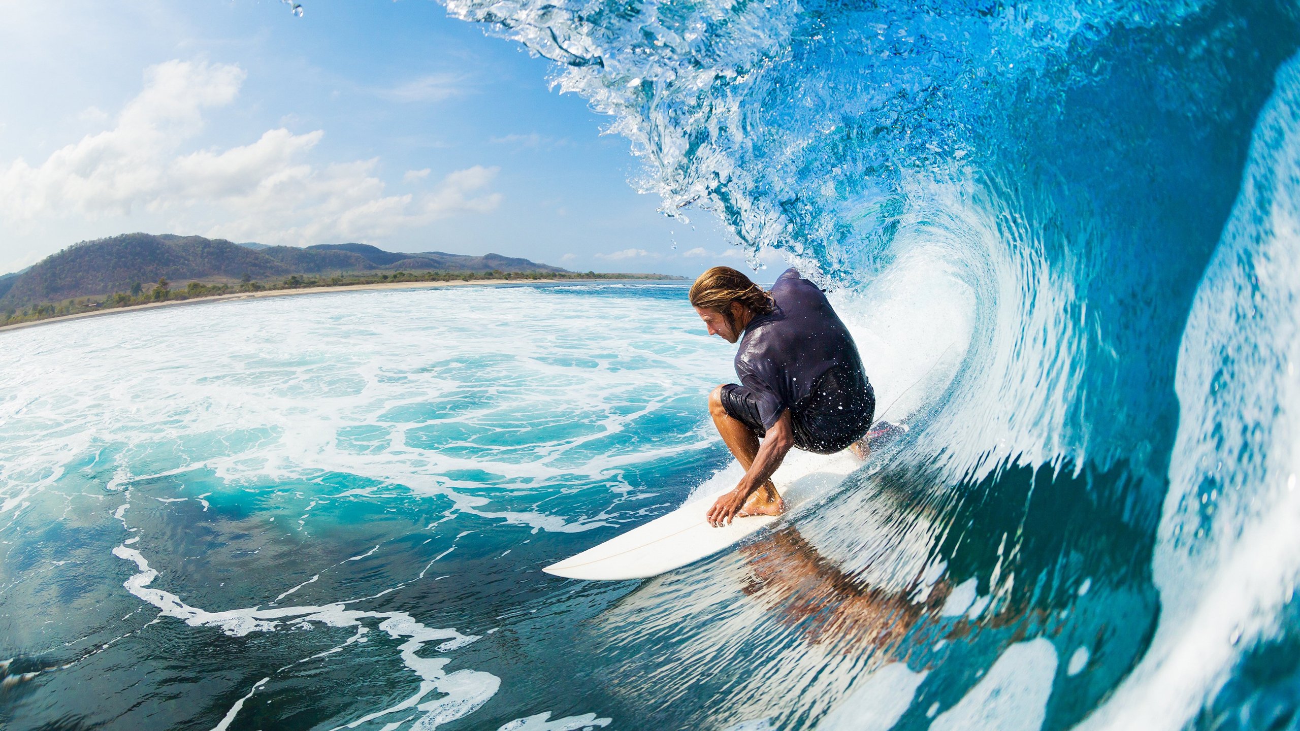荷兰马术协会与大学合作,开展马术运动营养研究,优化饮食方案。